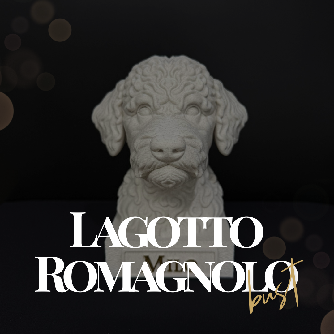 Lagotto Romagnolo Bust