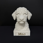 Lagotto Romagnolo Bust