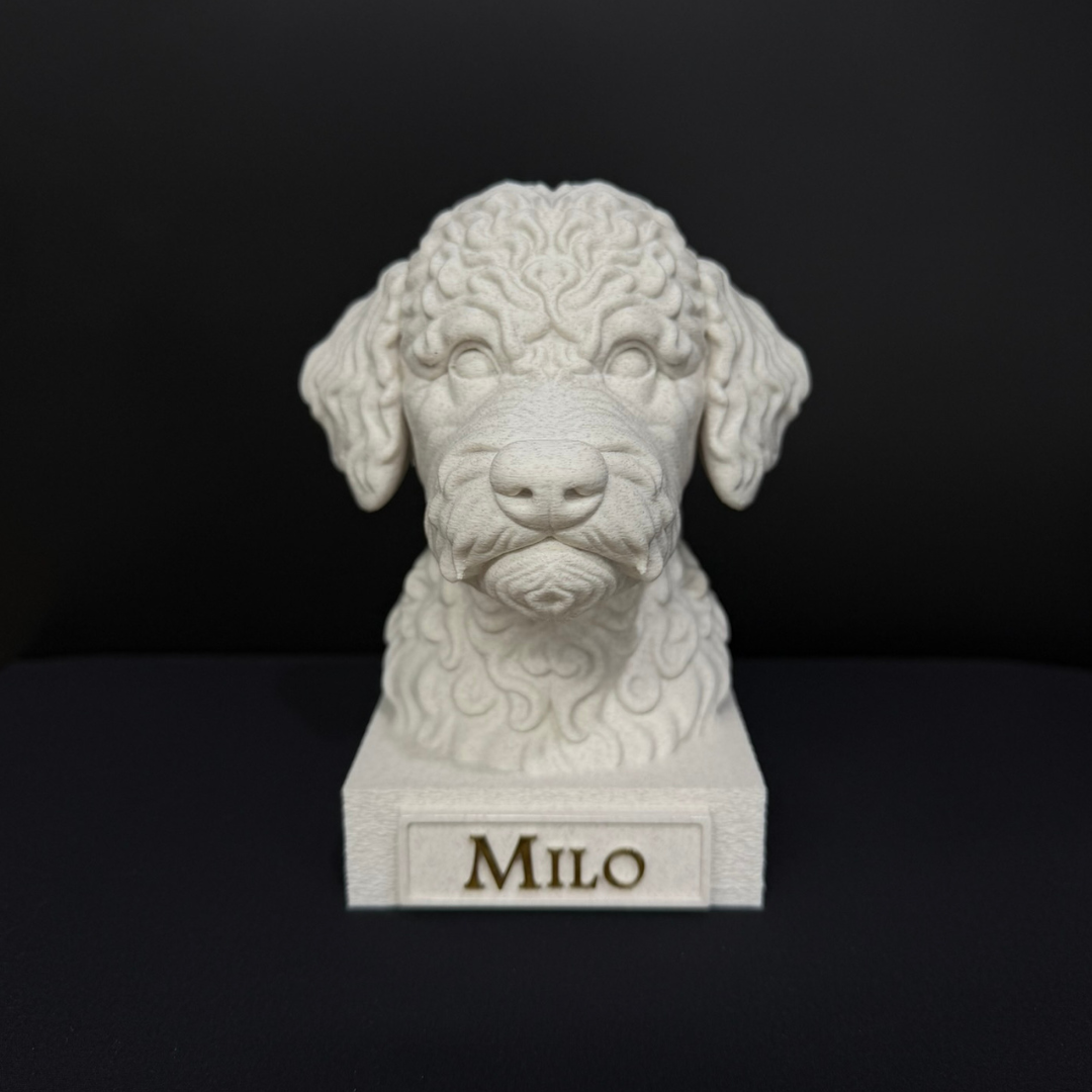 Lagotto Romagnolo Bust