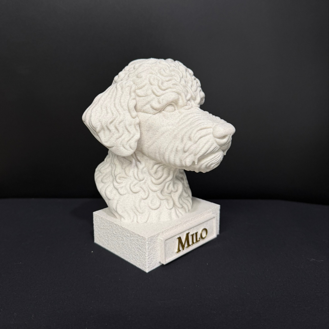 Lagotto Romagnolo Bust