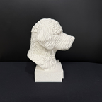 Lagotto Romagnolo Bust