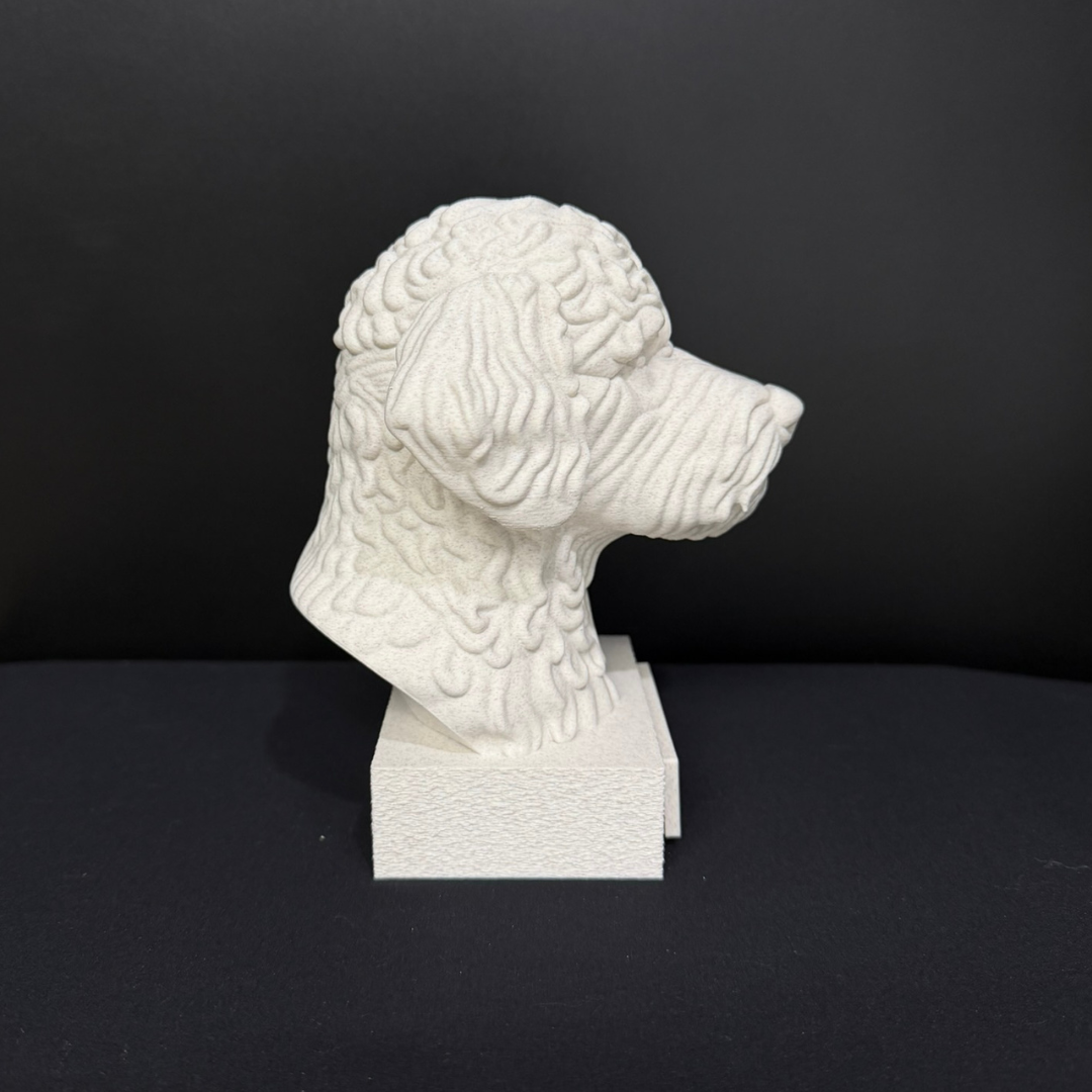 Lagotto Romagnolo Bust
