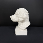 Lagotto Romagnolo Bust