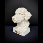 Lagotto Romagnolo Bust