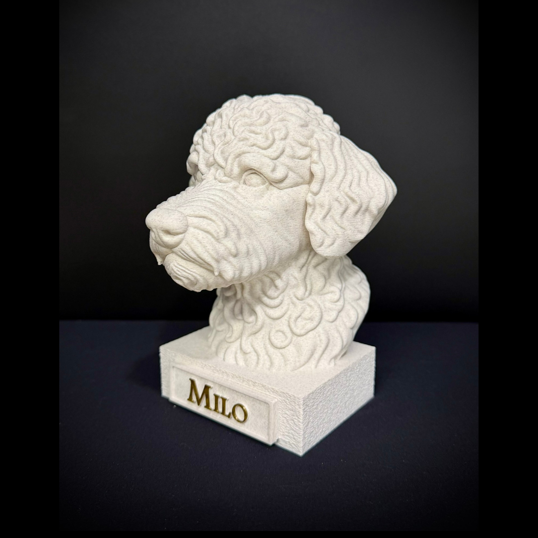 Lagotto Romagnolo Bust
