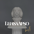Lhasa Apso Bust