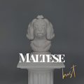 Maltese Dog Bust