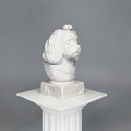 Maltese Dog Bust
