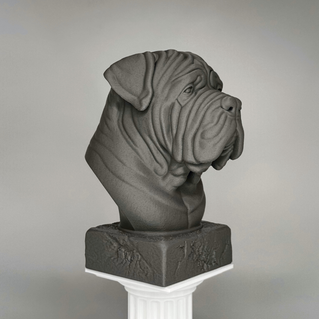 Neapolitan Mastiff Bust