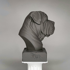 Neapolitan Mastiff Bust