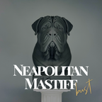 Neapolitan Mastiff Bust