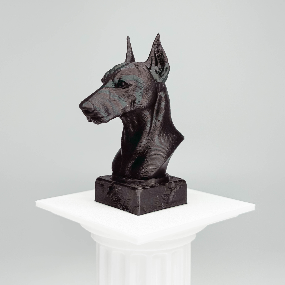 Pinscher Bust