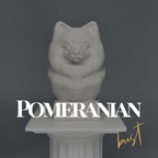 Pomeranian Bust