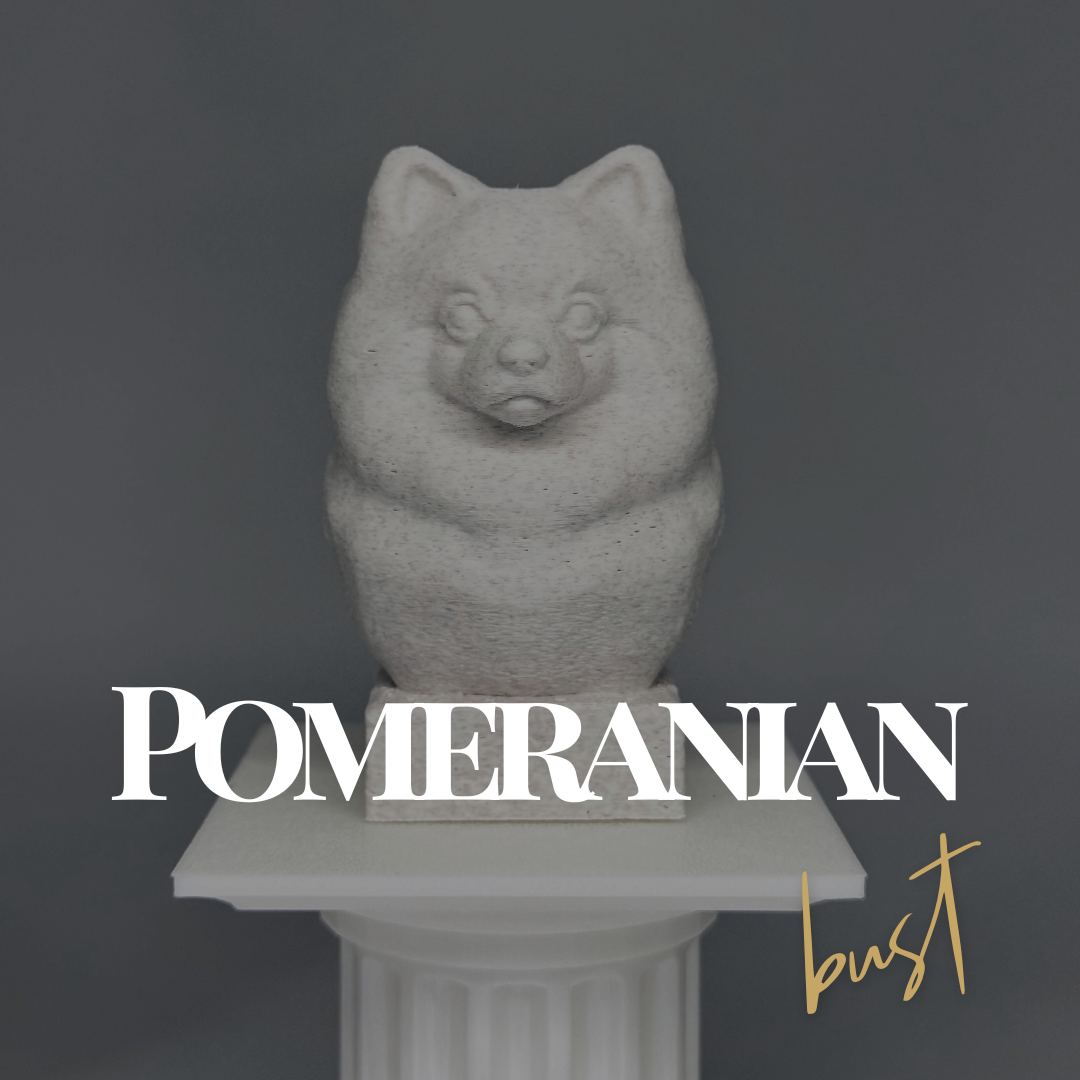 Pomeranian Bust
