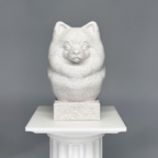 Pomeranian Bust