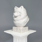 Pomeranian Bust