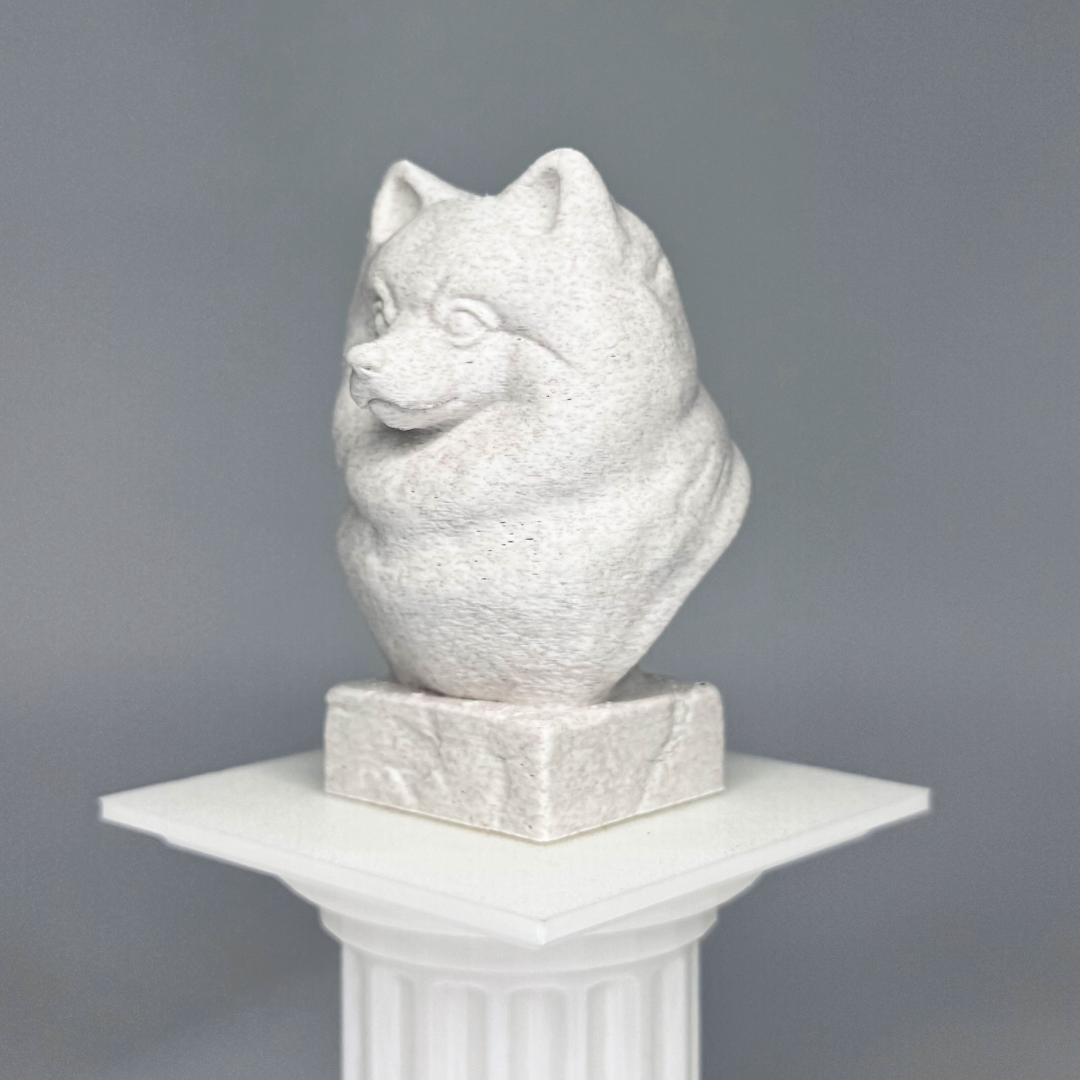 Pomeranian Bust