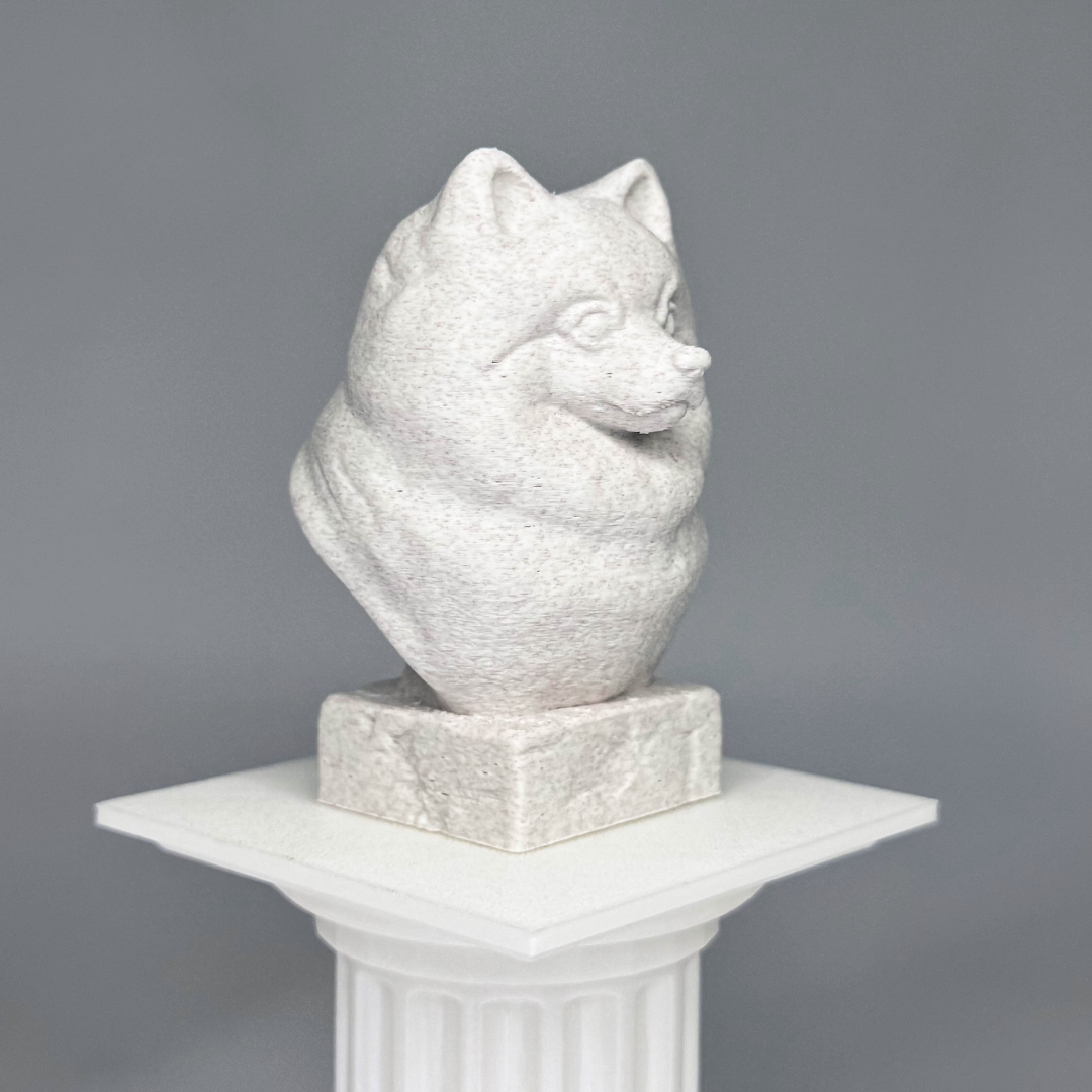 Pomeranian Bust