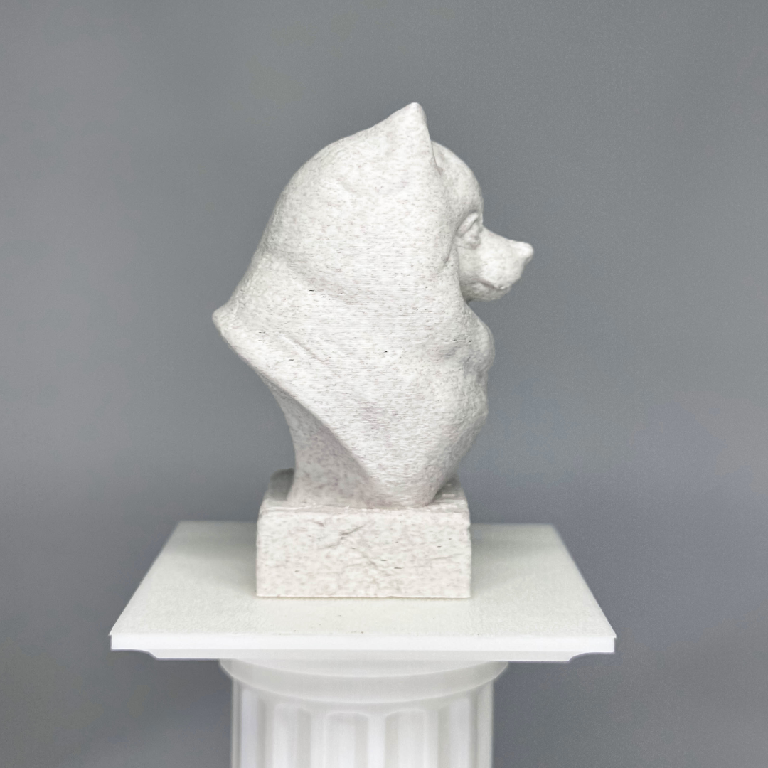 Pomeranian Bust
