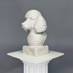 Poodle Bust