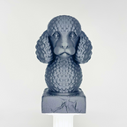 Poodle Bust