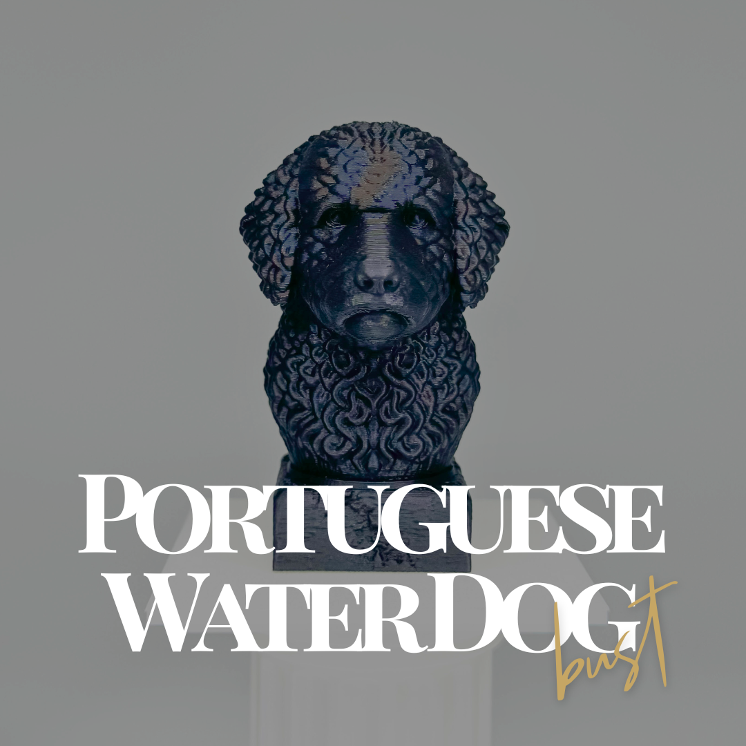 Portuguese Water Dog Bust