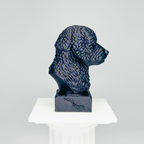 Portuguese Water Dog Bust