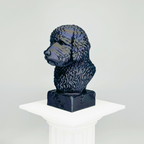 Portuguese Water Dog Bust