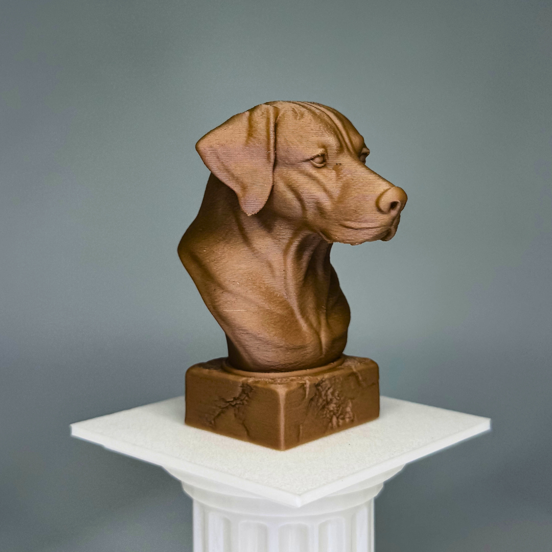Rhodesian Ridgeback Bust