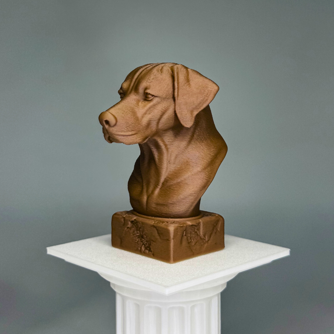 Rhodesian Ridgeback Bust