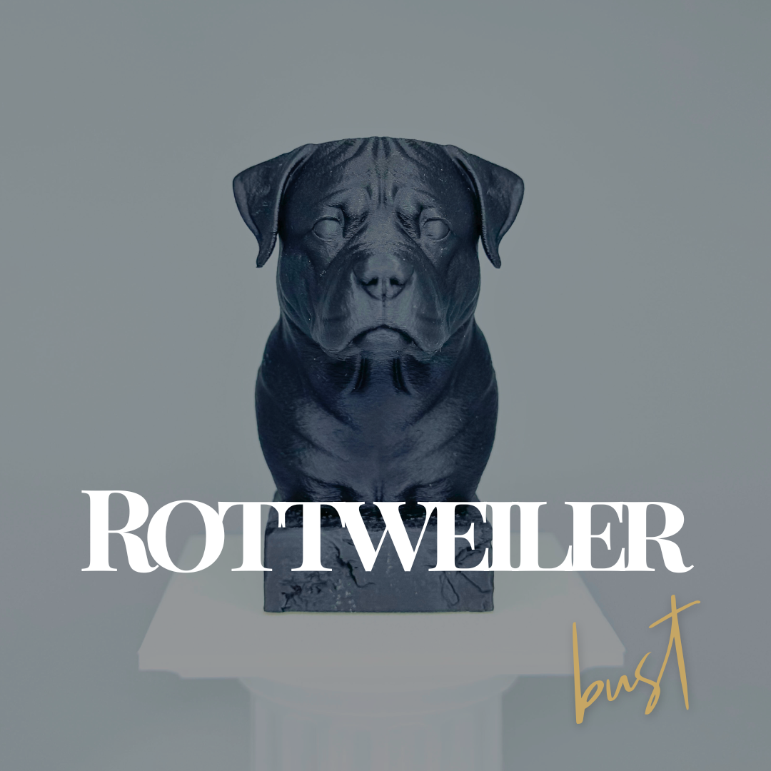 Rottweiler Bust