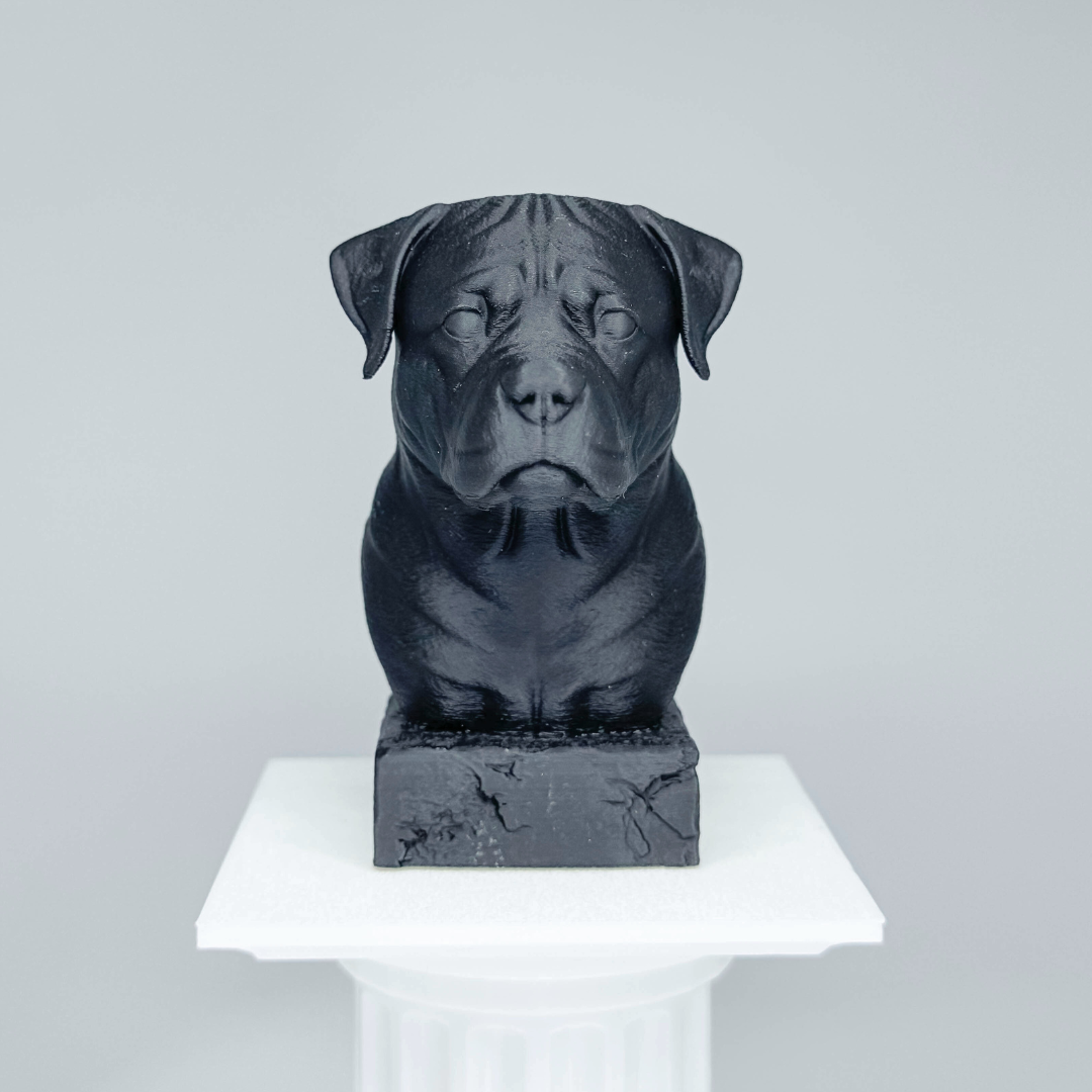 Rottweiler Bust
