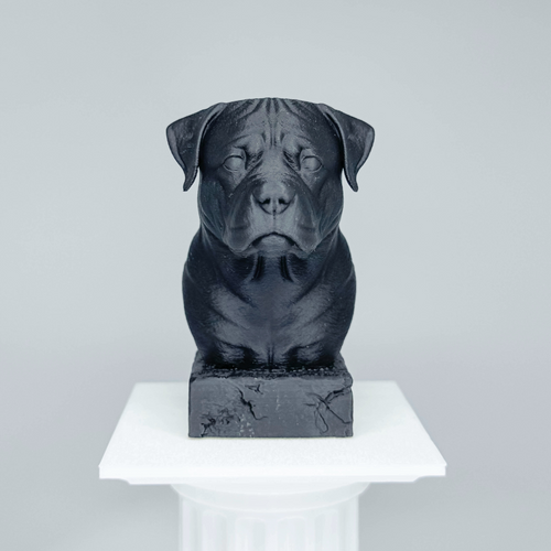 Rottweiler Bust