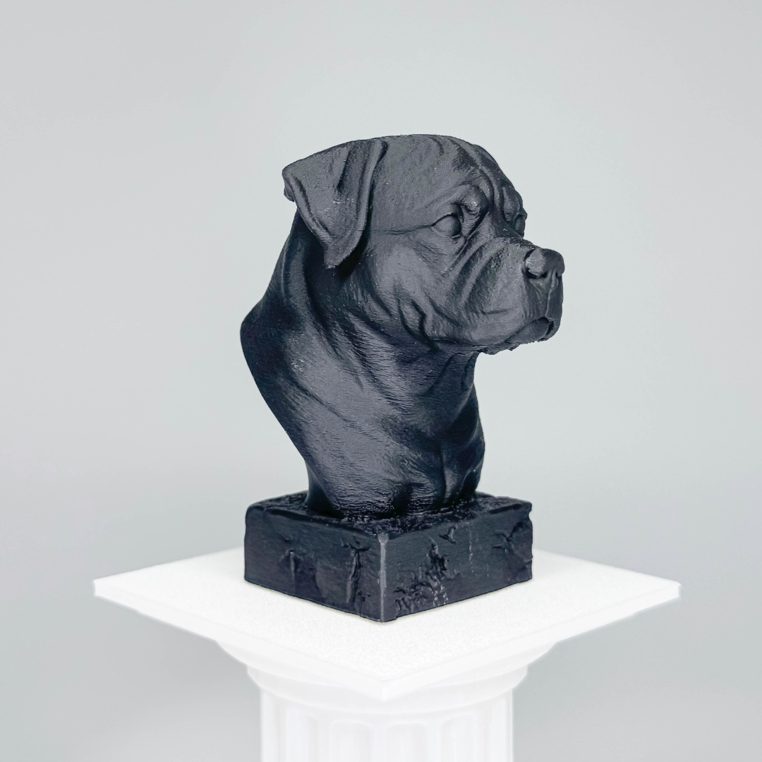 Rottweiler Bust