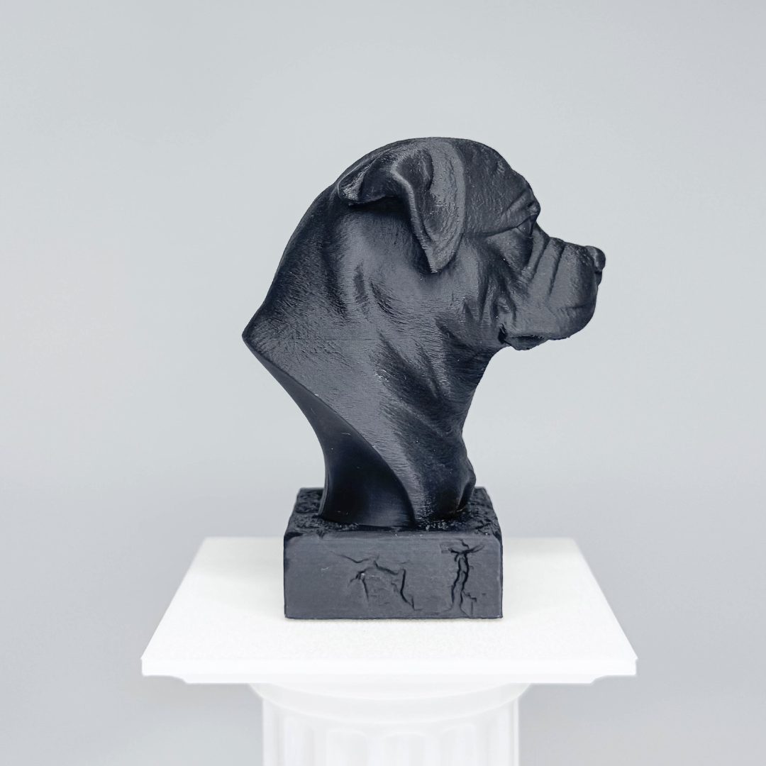 Rottweiler Bust
