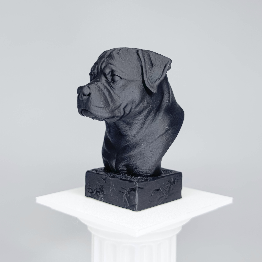 Rottweiler Bust