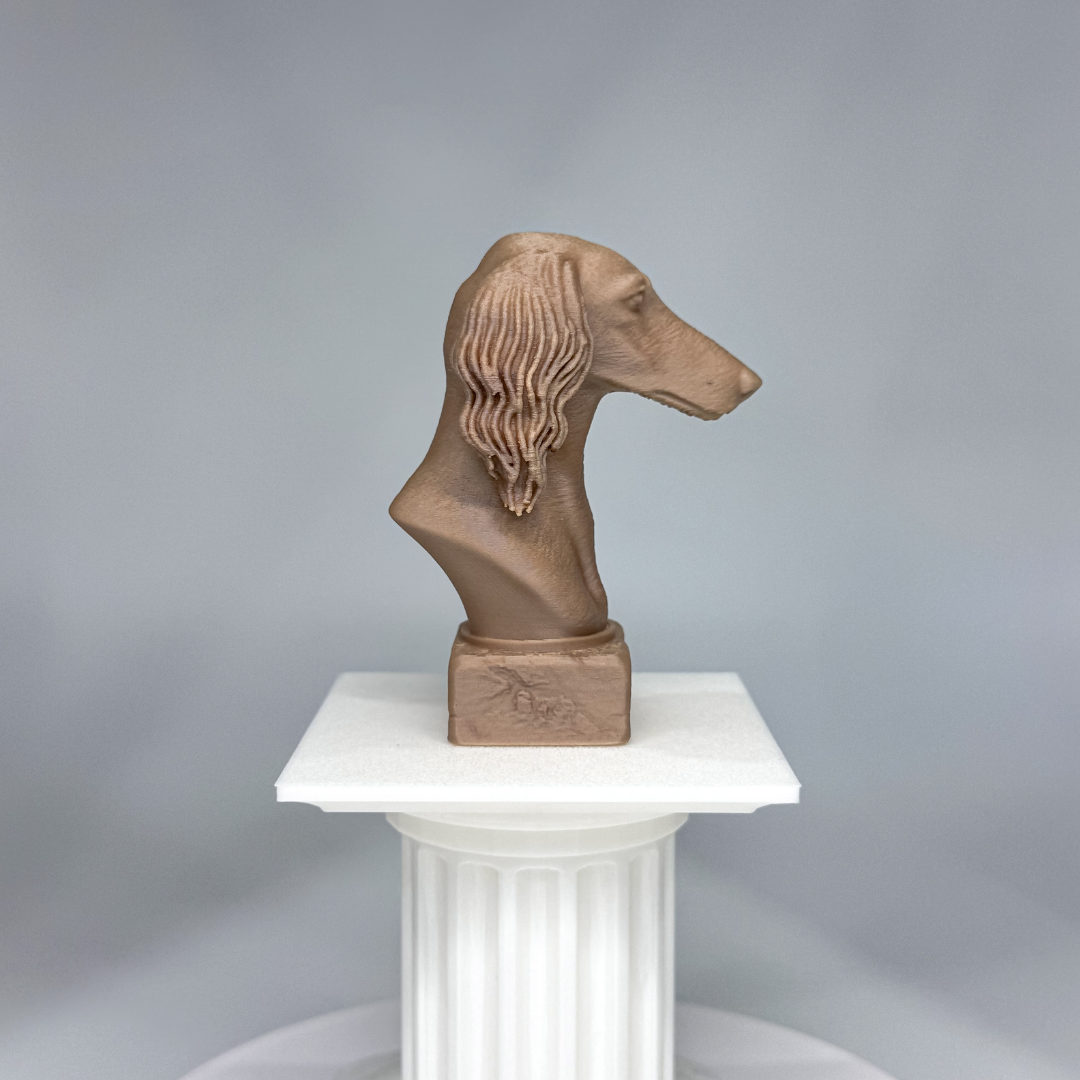 Saluki Bust
