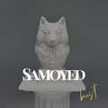 Samoyed Bust