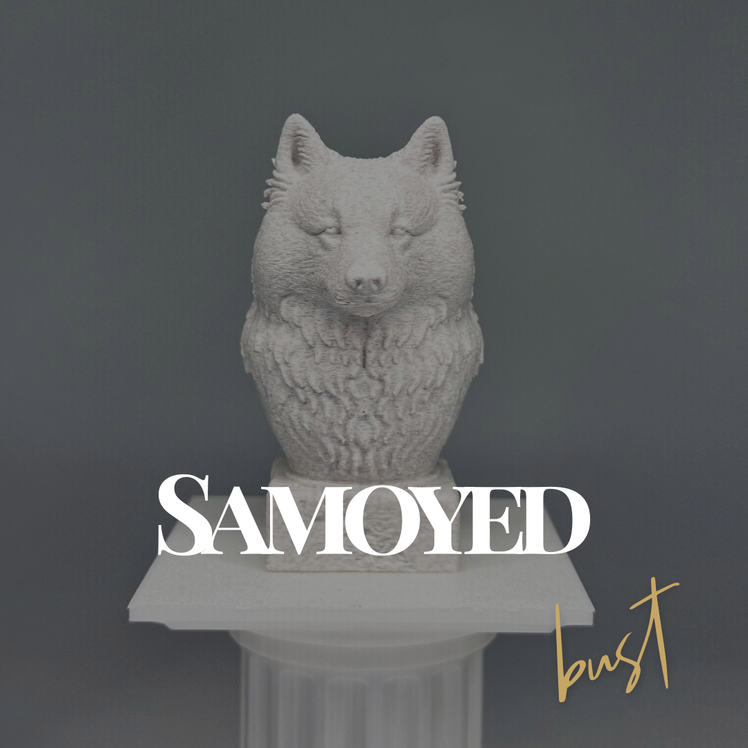 Samoyed Bust