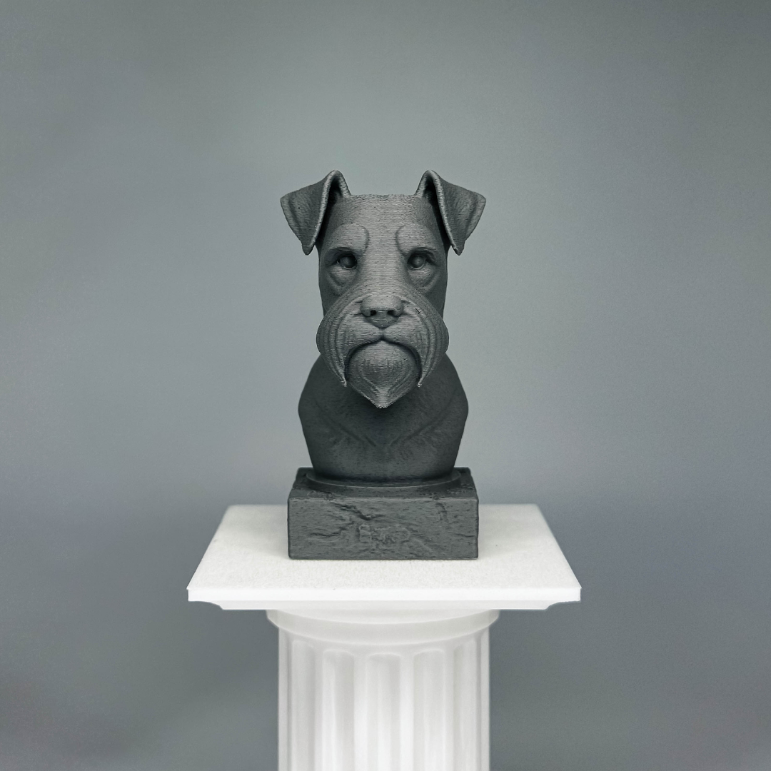 Schnauzer Bust