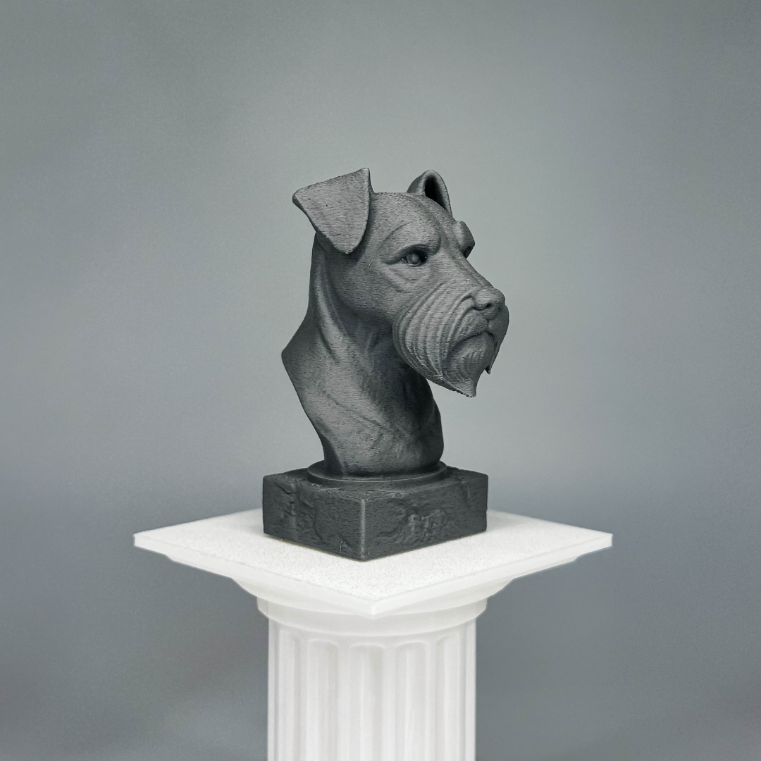 Schnauzer Bust