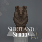 Shetland Sheepdog Bust