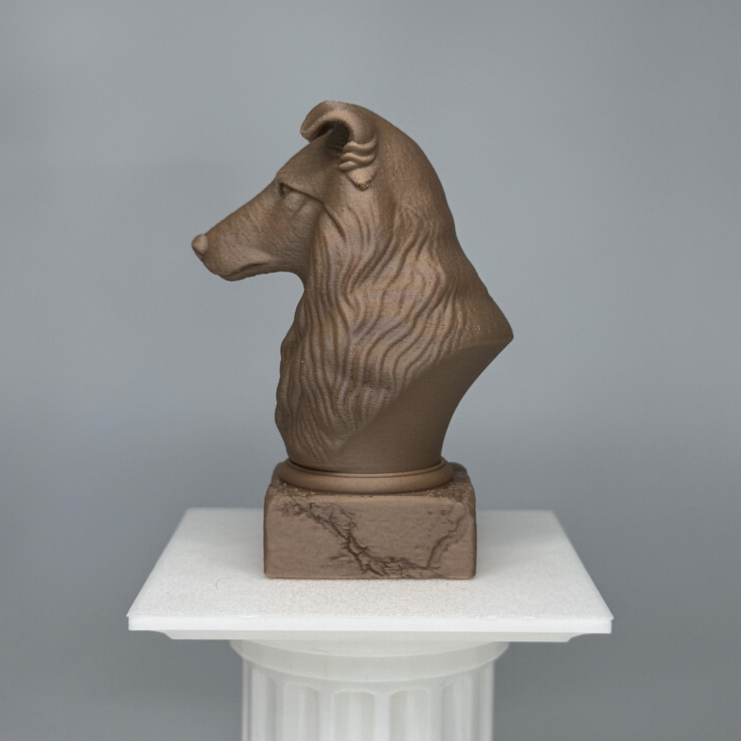 Shetland Sheepdog Bust