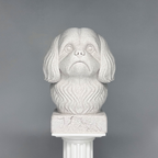 Shih Tzu Bust
