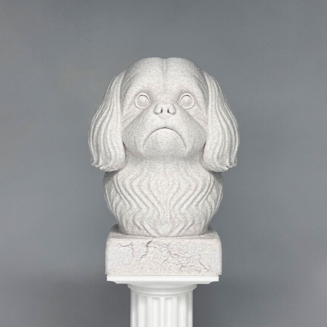Shih Tzu Bust