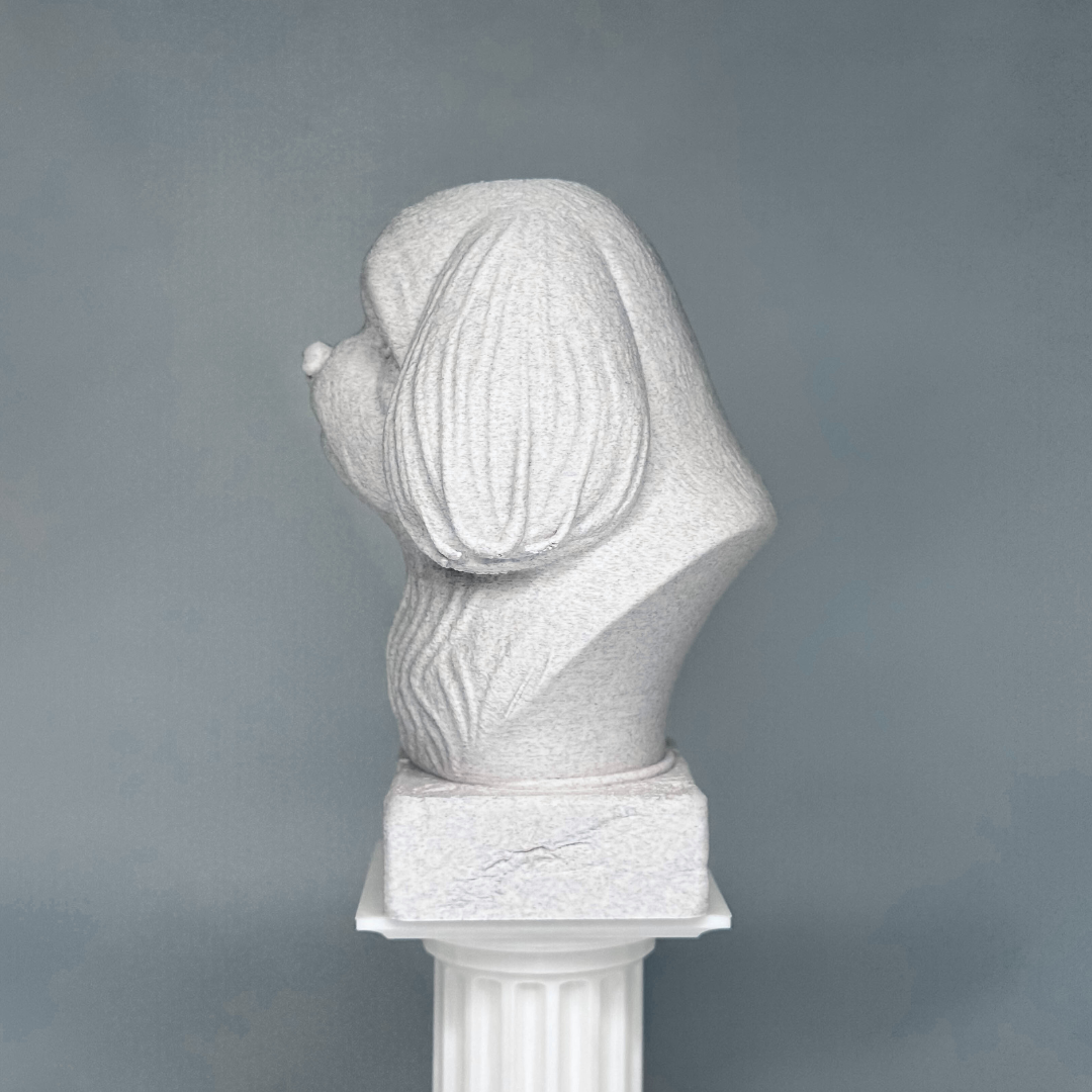 Shih Tzu Bust