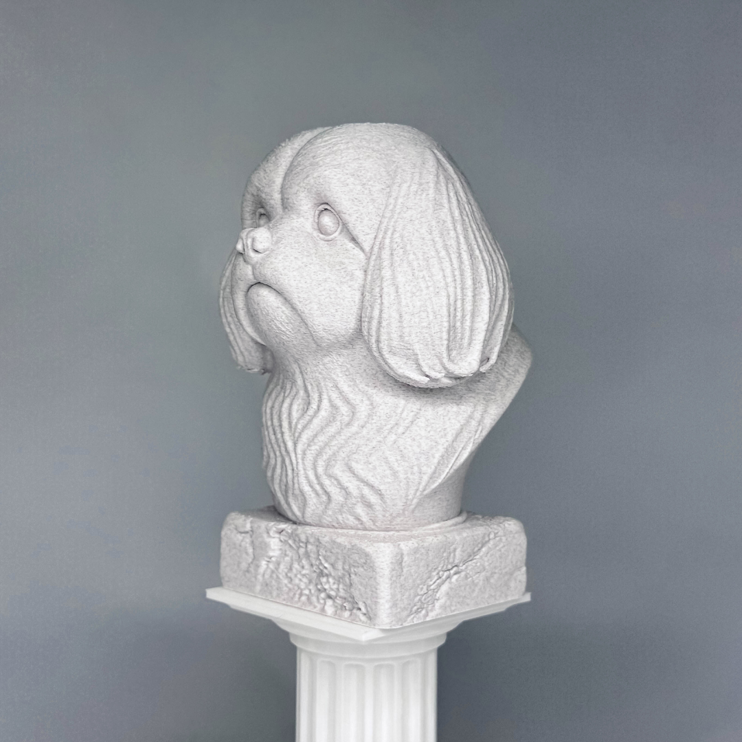 Shih Tzu Bust