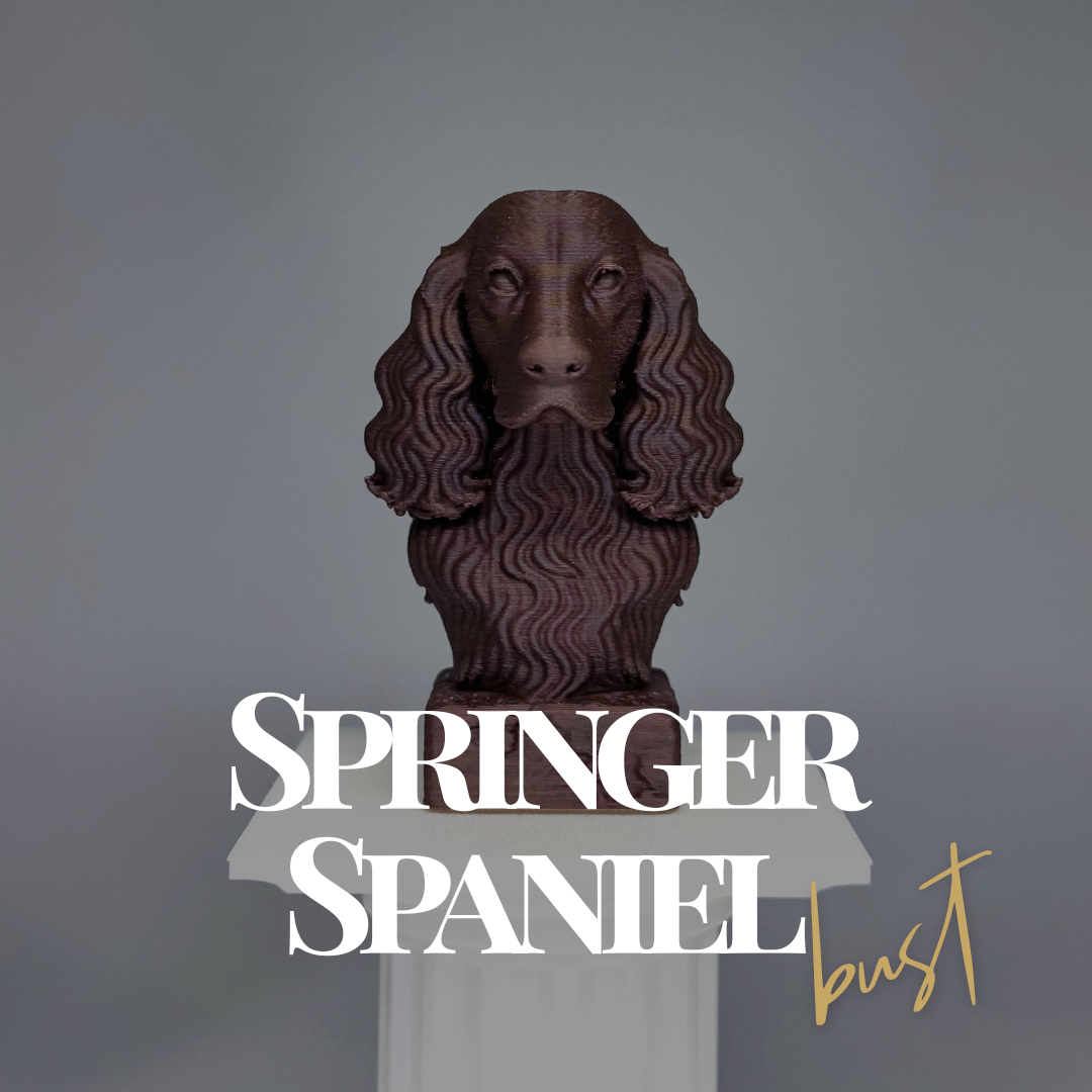 Springer Spaniel Bust