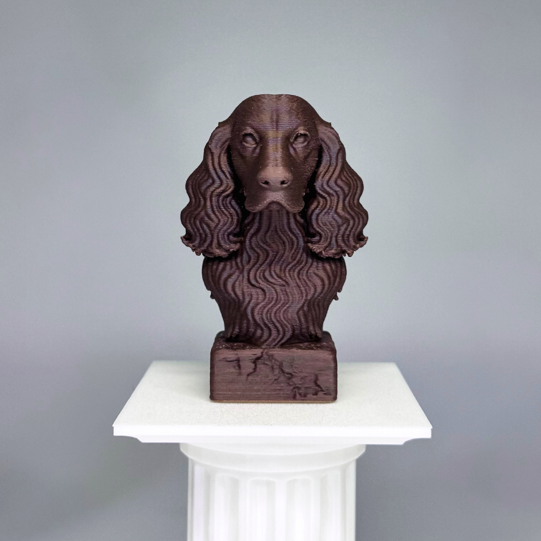 Springer Spaniel Bust
