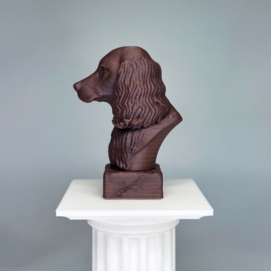 Springer Spaniel Bust